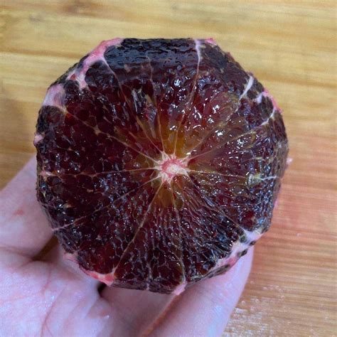 Tarocco Blood Orange Bareroot