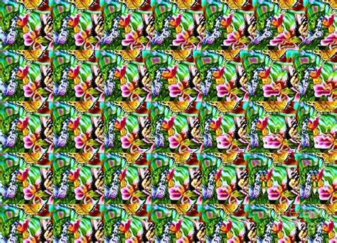 Butterfly Digital Art Butterfly Stereogram By Jmarp Magic Eye