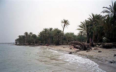 Arabian Peninsula coastal fog desert - Wikipedia
