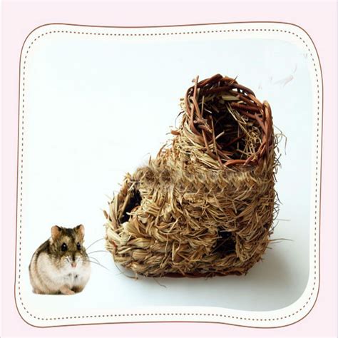 Shoe Type Hamster House Funny And Interesting For Your Small Animals Small Animal Supplies