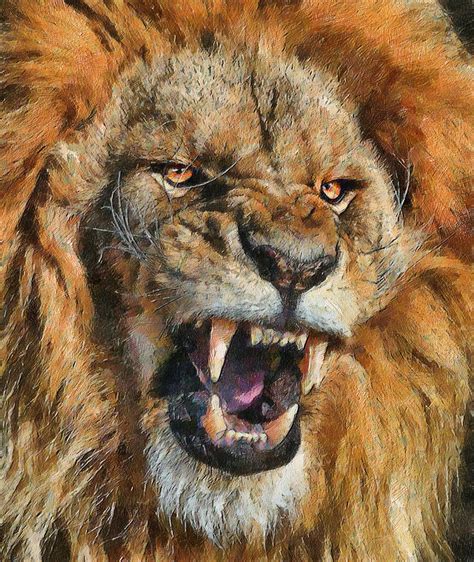 Lion Close Up Face Angry Wallpapers Wallpaper Cave
