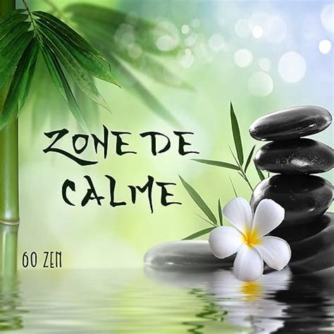 Zone De Calme 60 Zen Musique Pour La Détente Et Le Feng Shui Ambiance Méditative Orientale