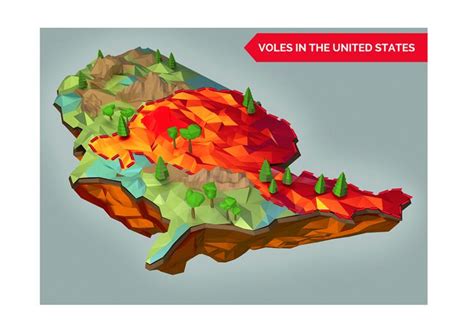 Once it figures out how to get there, the animal will be thrilled to escape. Tips on How to Get Rid of Voles and Shrews in Your Garden ...