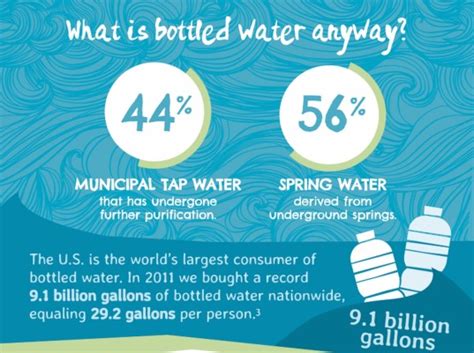 Great Reasons To Stop Buying Disposable Water Bottles Today Winfographic