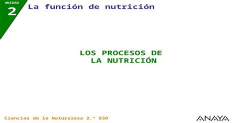 Unidad 2 La Función De Nutrición Ciencias De La Naturaleza 2º Eso Los