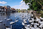 15 Best Things to Do in Maidenhead (Berkshire, England) - The Crazy Tourist