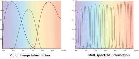 Comparison Of Wavelength Information Captured By Color And
