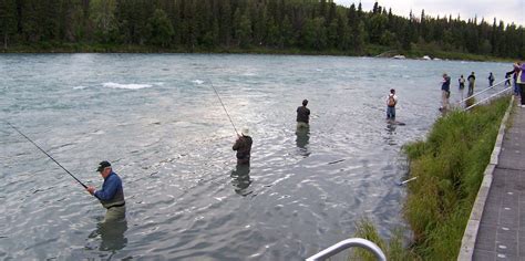 The Kenai Alaska Vacation Blog Fishing Along The Kenai River