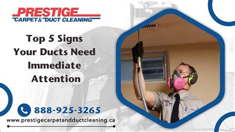 Top 5 Signs Your Ducts Need Immediate Attention