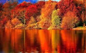 Image result for autumn