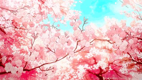 Blossoms Anime Estético Foto En Dibujo Árbol De Cerezo Dibujo