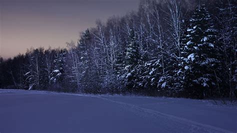 Download Wallpaper 1920x1080 Field Trees Snow Winter Night Full Hd