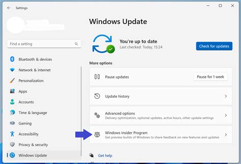 Show Or Hide Windows Insider Program Settings In Windows 11