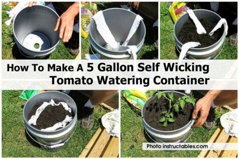 How To Make A 5 Gallon Self Watering Container Fairy Garden Houses