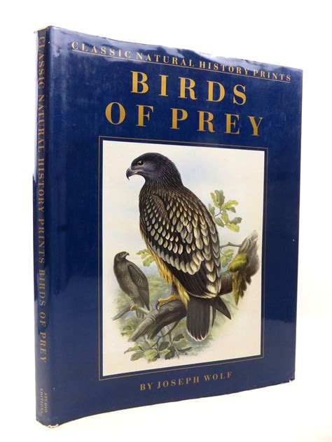 Stella And Roses Books Classic Natural History Prints Birds Of Prey