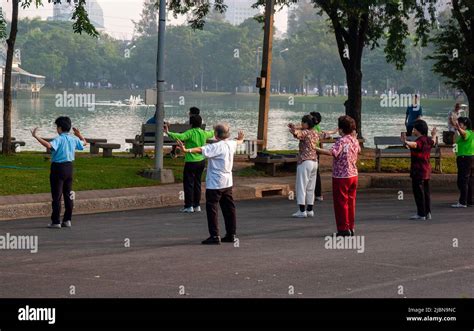 Seniors Taking Morning Exercise Tai Chi In Lumpini Park Bangkok Thailand Stock Photo Alamy