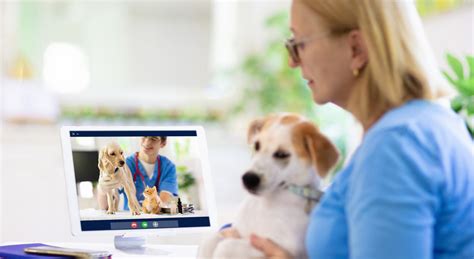 Veterinary Virtual Care Solutions Smartvet
