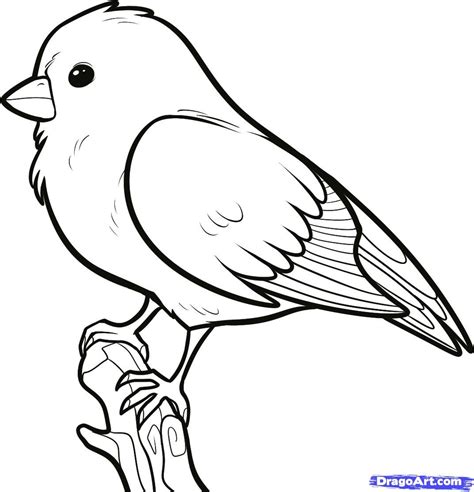 How To Draw A Songbird Songbirds Step 6 Bird Drawings Art Drawings