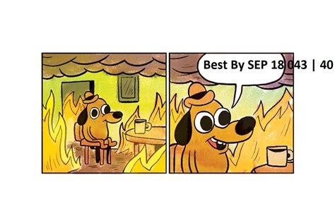 This Is Fine Best By 07 Sep 18 043 40 Know Your Meme
