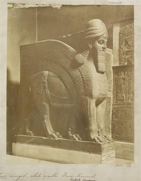 Neo Assyrian Colossal Statue Of A Winged Lion In White Marble From The