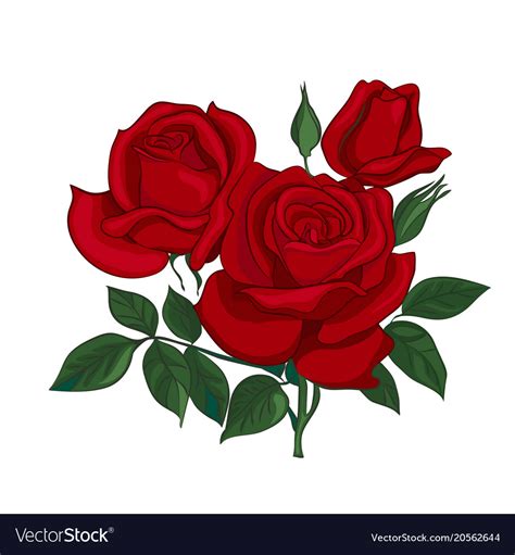 Bouquet Of Red Roses Royalty Free Vector Image
