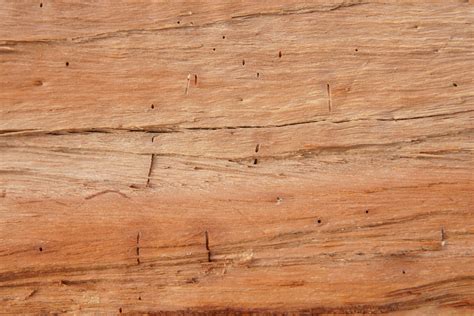 Old Cracked Tree Stump Cut Wood Texture Free