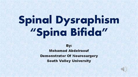 Spinal Dysraphism Spina Bifida By Mohamad Abdelraouf Demonstrator