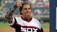 Tony La Russa sentenced to one day in jail, says he'll 'prove' he doesn ...