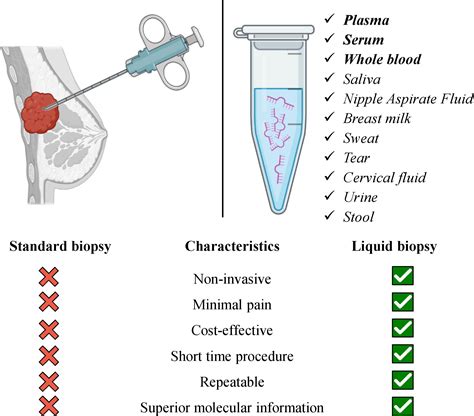 Frontiers Potential Utility Of Mirnas For Liquid Biopsy In Breast Cancer