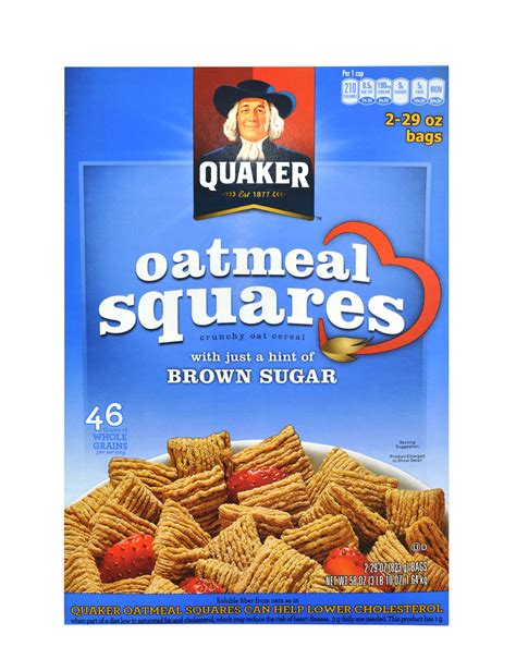 Oatmeal Squares Di Quaker 1640 Grammi