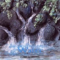The Healing Rain Forest: Water | Fumio Miyashita