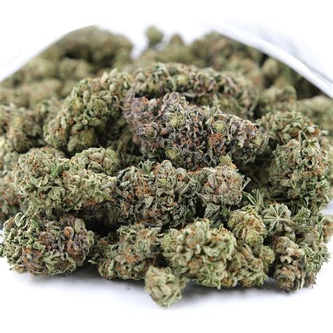 Buy Aa Purple Kush In Bulk Tga Online Dispensary In Canada