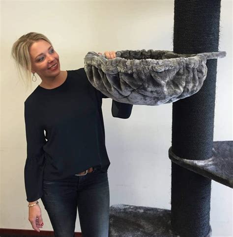 In fact, they are one of the largest domesticated breed available! MAINE COON CAT TREE TOWER BLACKLINE | LOWEST PRICES ...