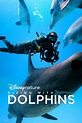 Diving with Dolphins (2020) - Posters — The Movie Database (TMDB)