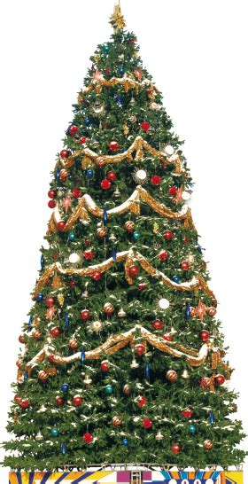 Pngkit selects 1058 hd christmas tree png images for free download. Big Traditional Christmas Tree PNG Image - PurePNG | Free transparent CC0 PNG Image Library