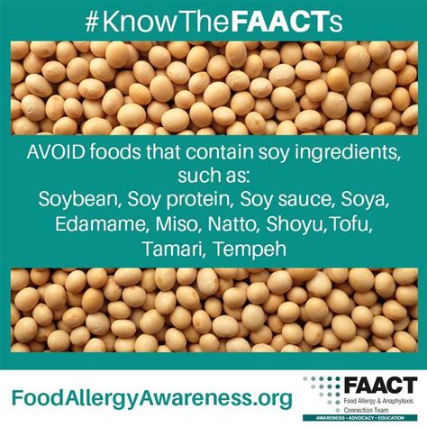 Soy Allergy Common Food Allergies Food Allergies Most Common Food