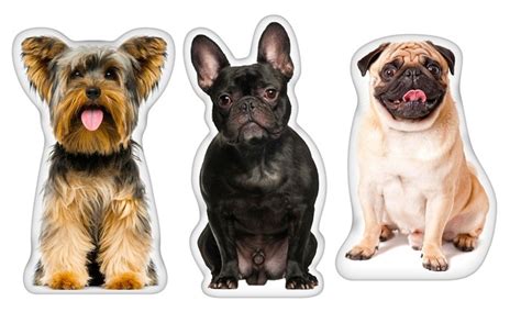 Each photo will be edited to remove as much as the background as possible so the focus is on your furry friend. Animal cushion - Amazing Products