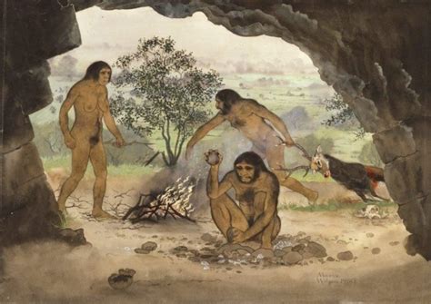 Descoberta Do Fogo Resumo Período Importância Evolução Paleolítico
