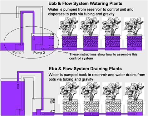 Ebb And Flow Hydroponic System Timing Stun Binnacle Photo Galery