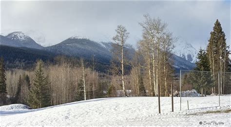 Snow Capped Mountains Photos Taken In The Winter Of 2015 Smithers Bc