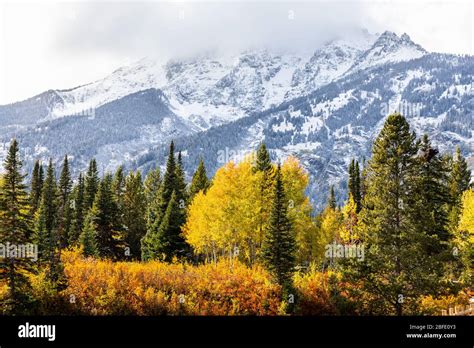 Snow Cover Mountains Peak Of Grand Teton Surrounding By Colorful Trees