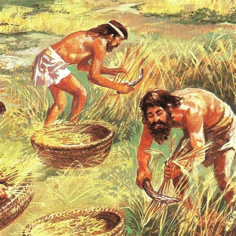 El Origen De La Agricultura Y La Revolución Del Neolítico Universidad Agrícola