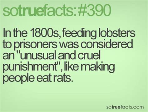 So True Facts True Facts Wtf Fun Facts Weird Facts