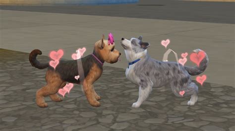 The Sims 4 Cats And Dogs Breeding For Profit