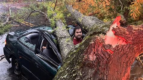 Alabama Teacher Luckiest Man Alive After Surviving Tree Crushing Car