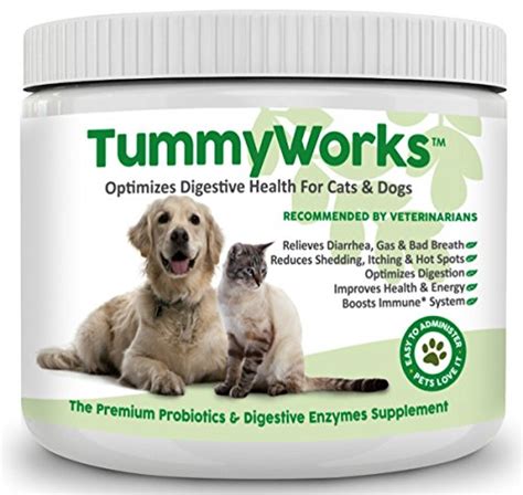 Probiotics For Dogs And Cats Best Powder To Relieve