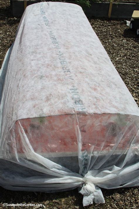 Row covers are a quick, easy, and fairly inexpensive solution to protecting vegetables from damage from pests, frost and disease. Floating Row Cover - Susan's in the Garden | Row covers ...