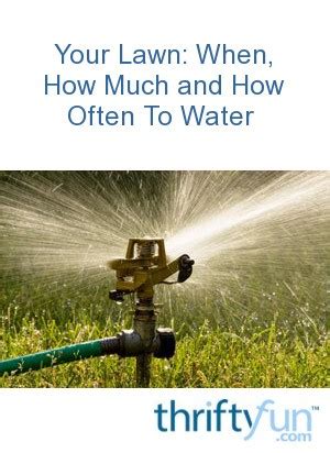 Check spelling or type a new query. Your Lawn: When, How Much and How Often To Water | ThriftyFun