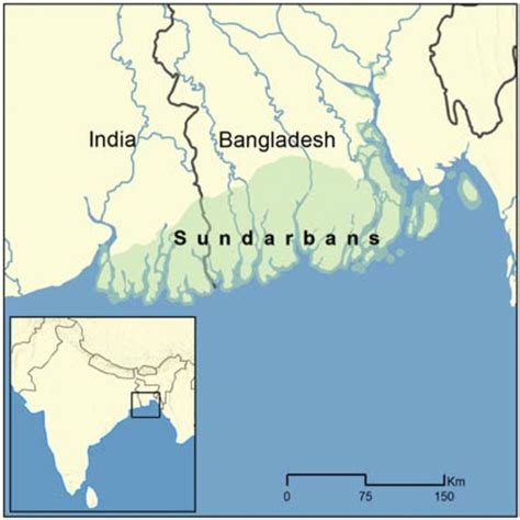 The Bengal Delta And The Sundarbans Region Amanda Henley University