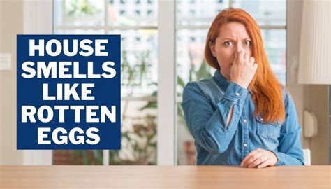 House Smells Like Rotten Eggs Why And How To Get Rid Of